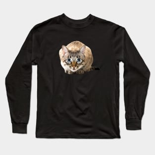 Bengal Cat Snow Mink Beauty Long Sleeve T-Shirt